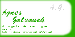 agnes galvanek business card